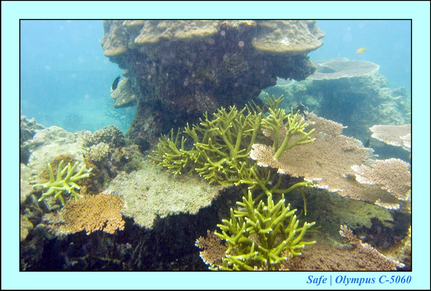 2008 - 07 - Perhentian - 037